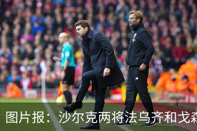 图片报：沙尔克两将法乌齐&戈森斯严重撞伤，将缺席杯赛
